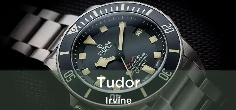 Tudor Irvine